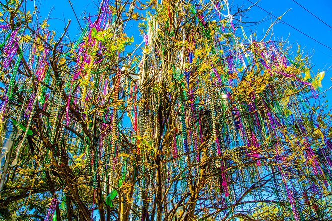 New Orleans Small-Group City Tour by Van - Transportation and Accessibility