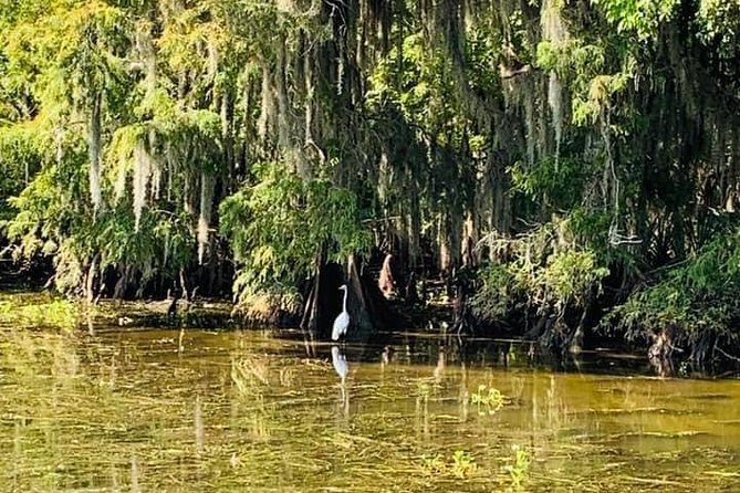 New Orleans Swamp Tour Boat Adventure - Cultural Significance of the Wetlands