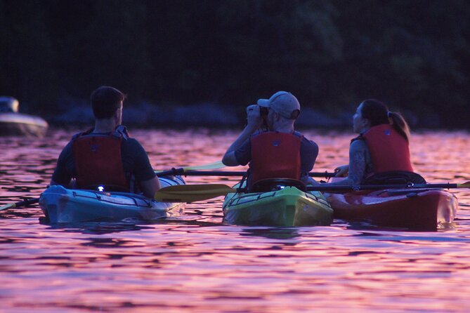 Nickajack Bat Cave Kayak Tour With Chattanooga Guided Adventures - Enjoying the Guided Experience