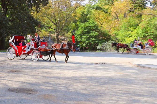 NYC Central Park Horse Carriage Ride (Up to 4 Adults) - Customer Feedback