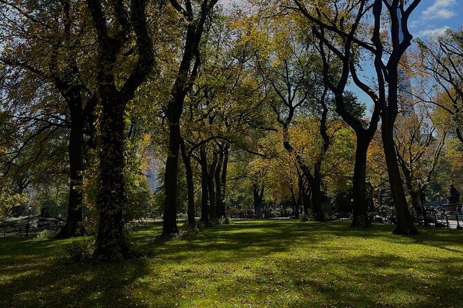 NYC Central Park Pedicab Tours - Guided Commentary and Personalized Experiences