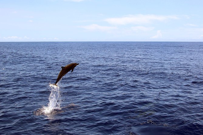 Oahu Catamaran Cruise: Snorkeling, Wildlife and Hawaiian Meal - Savoring the Authentic Hawaiian Cuisine