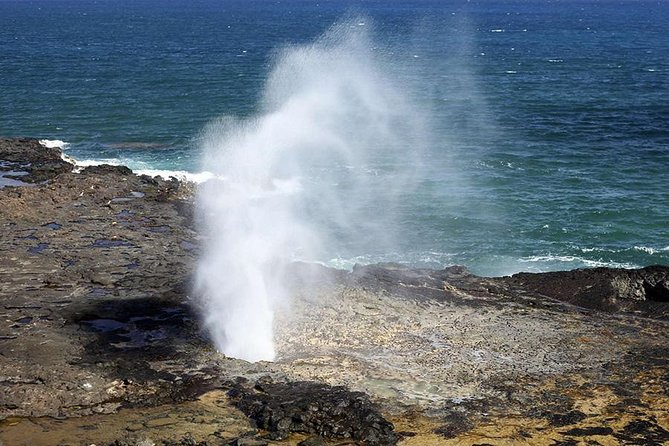 Oahus Ultimate Tour: Dole, Turtle Snorkel, & Nuuanu Pali Lookout - Scenic Stops Along the Circle Island Route