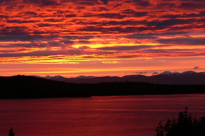 Off the Beaten Path Ketchikan Photo Safari - 3 Hr. - Confirming Your Booking