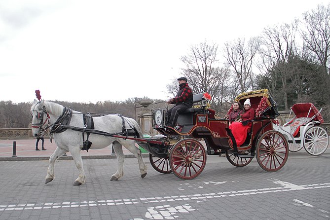 Official NYC Horse Carriage Rides in Central Park Since 1979 ™ - Booking and Availability