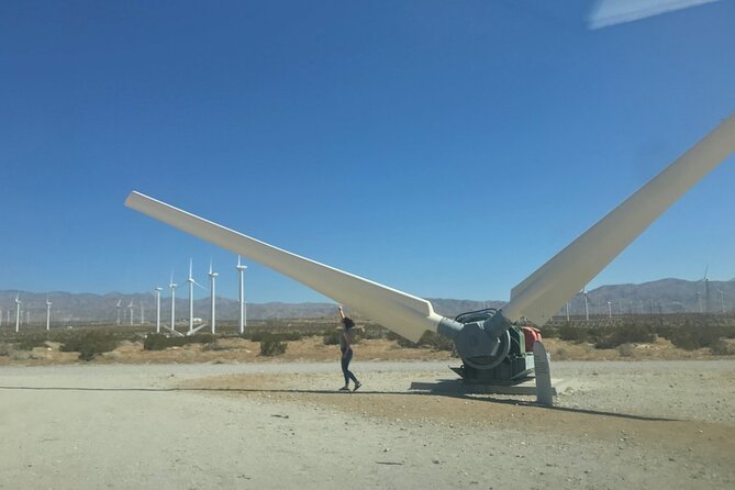 Palm Springs Windmill Tours - Sustainable Energy and Environmental Impact
