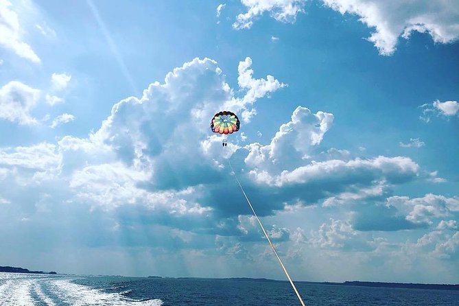Parasailing Adventure at the Hilton Head Island - Wildlife Sightings