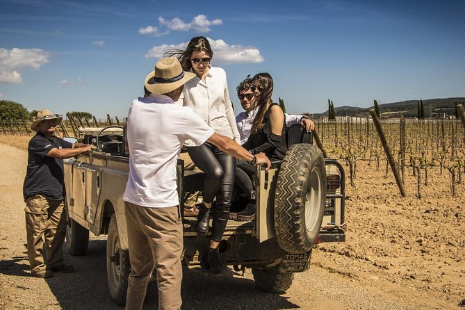 Penedes Wine & Cava Tasting & 4WD Vineyards Tour From Barcelona - Constructive Criticism