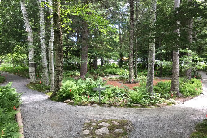 Premium Narrated Bus Tour of Bar Harbor and Acadia National Park (3.5 Hours) - Customer Feedback