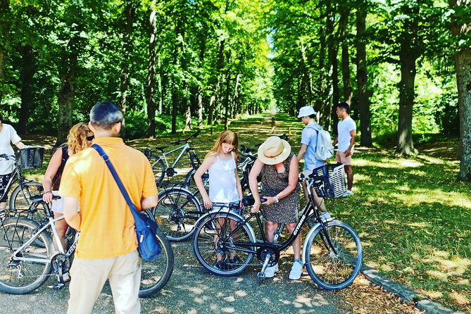 PREMIUM Versailles Golf Carts and Bikes Guided Tour With Lunch - Accessibility Information