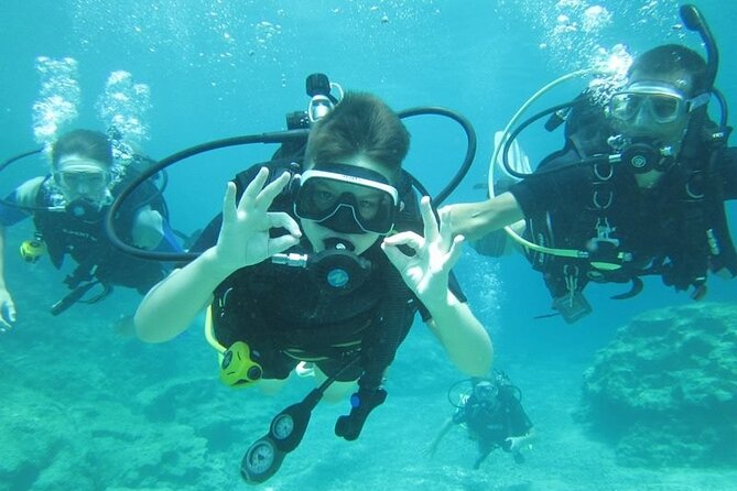 Private Discovery Dive + Photos & Videos - Customer Experiences and Feedback