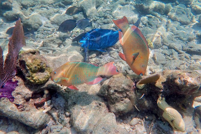 Private Looe Key Snorkel From Big Pine Key - Getting to the Meeting Point