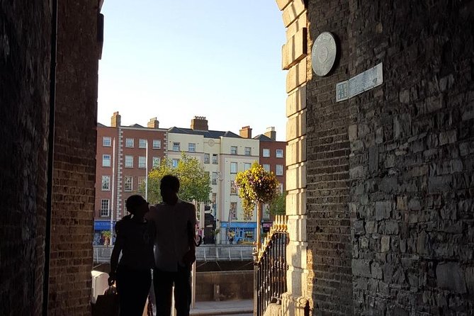 Private (Nearly!) All of Dublin in 5 Hours (Walking Tour) - Experience the Book of Kells (Optional)