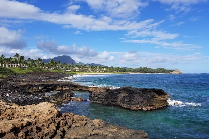 Private Waimea Canyon Tour - Scenic Landscape and Historic Landmarks