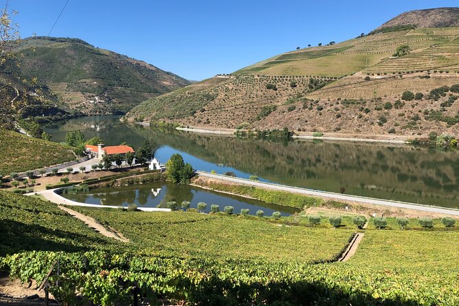 Private Wine Tour in the Douro Valley - Private Wine Tastings and Lunch Included - Savoring the Gourmet Lunch Experience