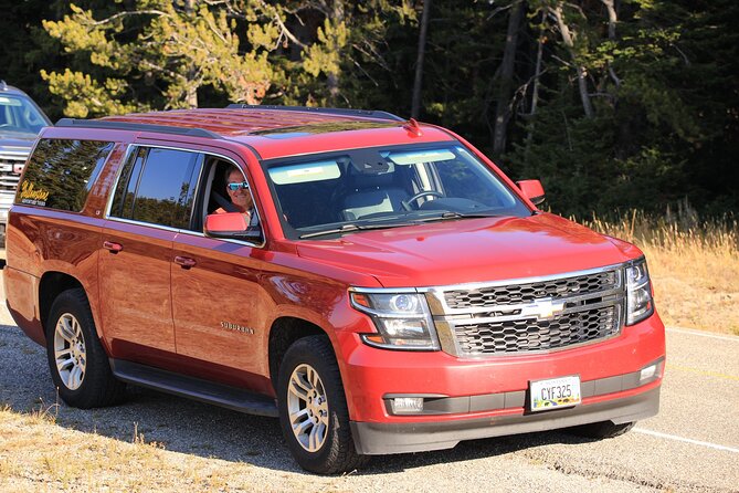 Private Yellowstone Tour: ICONIC Sites, Wildlife, Family Friendly Hikes + Lunch - Wildlife Viewing Opportunities