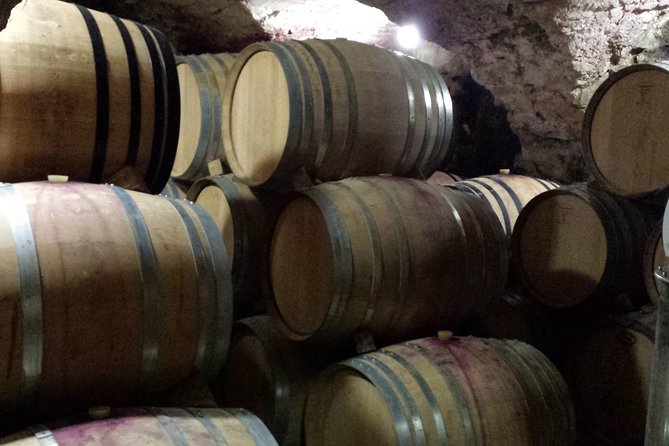 Provence Cru Wine Small-Group Half-Day Tour From Avignon - Picturesque Provençal Landscapes