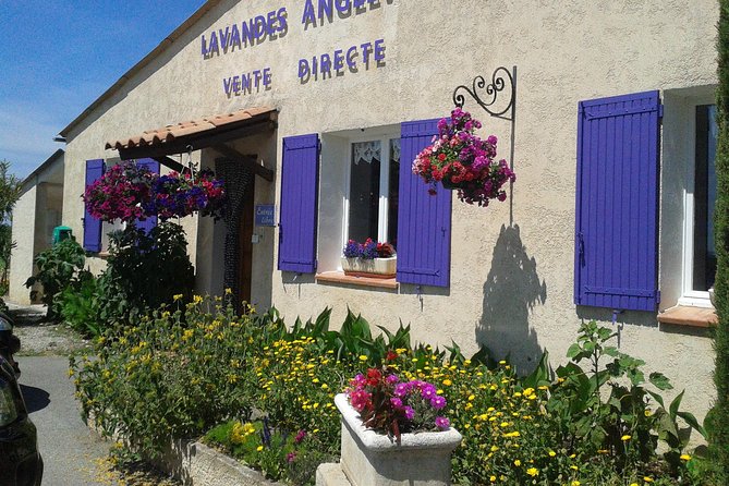 Provence Lavender Fields Tour From Aix-En-Provence - Capturing Memorable Moments