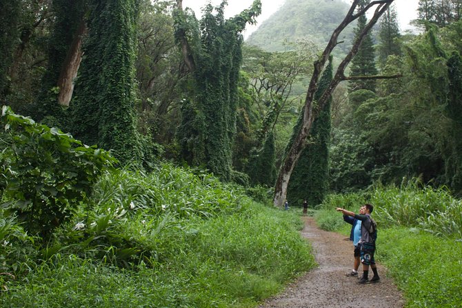 Rainforest Waterfall Trail and Shuttle Service - Trail Conditions and Navigation