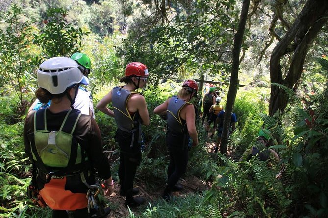 Rappel Maui Waterfalls and Rainforest Cliffs - Capturing the Memorable Moments