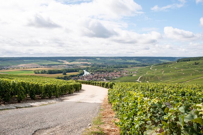 Reims Afternoon Tour Champagne and Family Growers - Champagne Production Insights