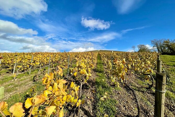 Reims: Small-Group Champagne Tour With Champagne Tastings and Lunch - Champagne Tasting Experience