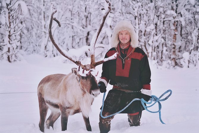 Reindeer Sledding and Feeding With Sami Culture in Tromso. - Weather Considerations and Policies