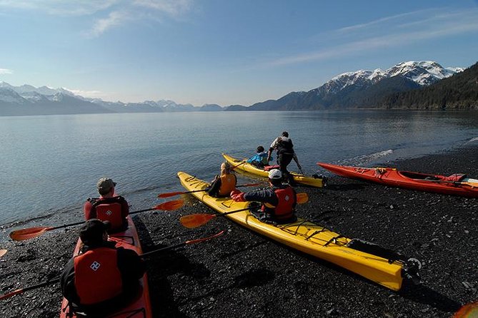 Resurrection Bay Kayaking Adventure - Meeting Point and Departure Information