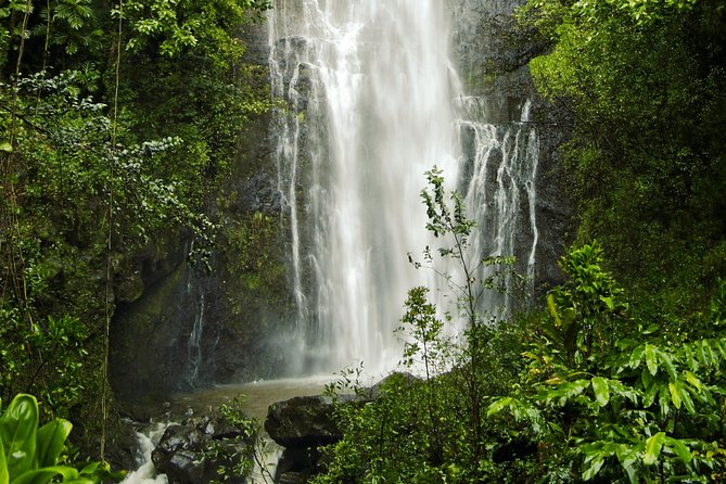 Road to Hana Tour With Lunch and Pickup - Knowledgeable Local Guides