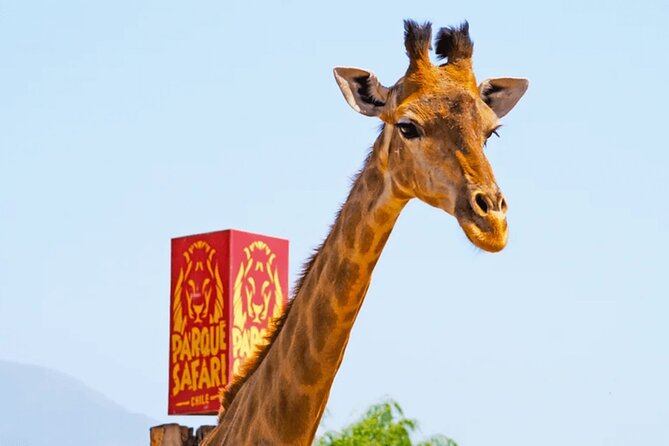 Safari Park, Wild Experience - Herbivore Safari