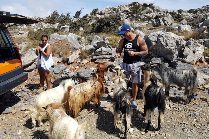Safari Zeus & Lassithi Plateau (Adventure Experience Excursion) - Cancellation and Booking Flexibility