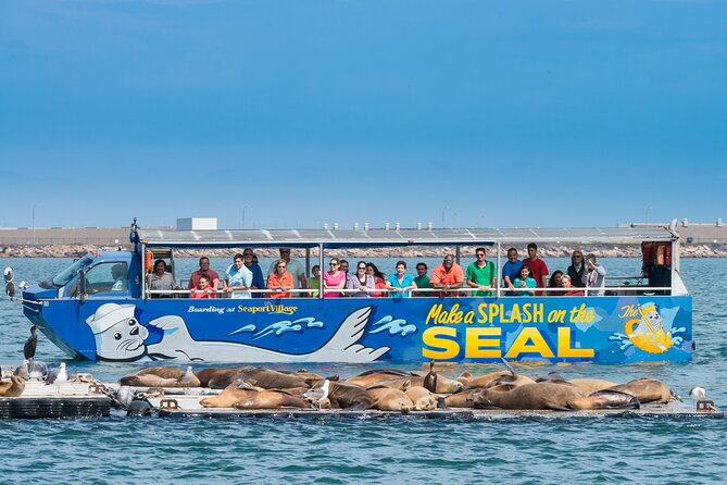 San Diego Seal Tour - Why the San Diego Seal Tour Is a Must-Do