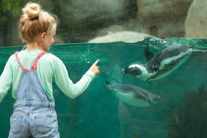 San Diego Zoo 1-Day Pass: Any Day Ticket - Confirmation, Cancellation, and Feedback
