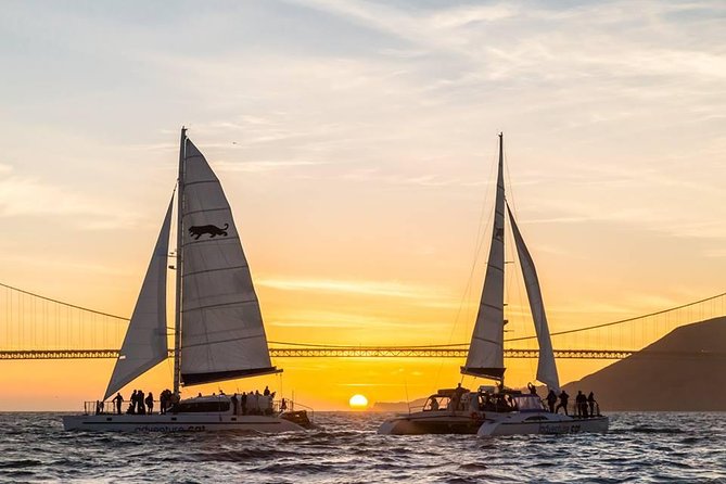 San Francisco Bay Sunset Catamaran Cruise - Traveler Reviews and Feedback
