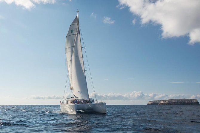 Santorini Caldera Sailing Tour With BBQ Lunch and Drinks - Positive Guest Experiences and Feedback
