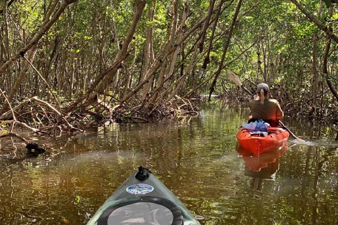 Sarasota Guided Mangrove Tunnel Kayak Tour - Customer Feedback