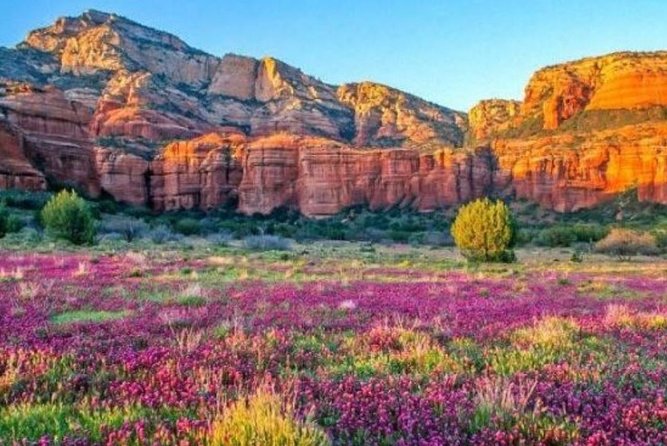 Scenic Sedona Tour - Review Highlights