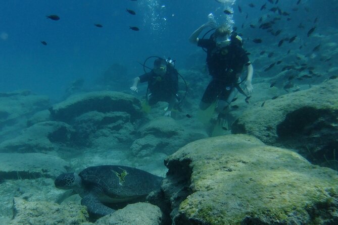 SCUBA DIVING First Time Experience - Equipment Overview for Beginners