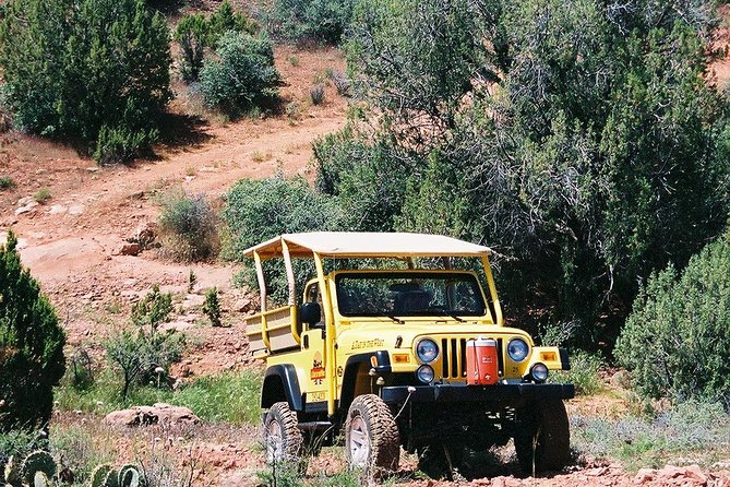 Sedona Jeep Tour Private 2-hour Lil Rattler Off-Road - Off-Roading on Moderately Bumpy Trails
