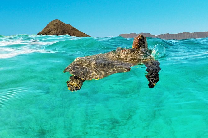 Self-Guided Kayaking Discovery in Kailua, Oahu - Discovering Remote Beaches and Tide Pools