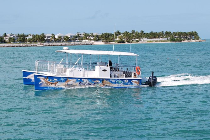 Shark and Wildlife Viewing Adventure in Key West - Eco-Friendly Vessel and Operations