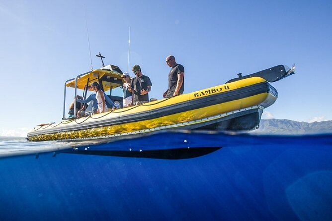 Shark-Dive Tour on Oahus North Shore - Pricing and Cancellation Policy
