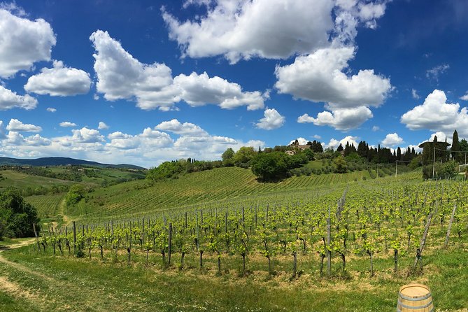 Siena: A Wine Tour and Tasting Experience - Indulging in a Tuscan Lunch Experience