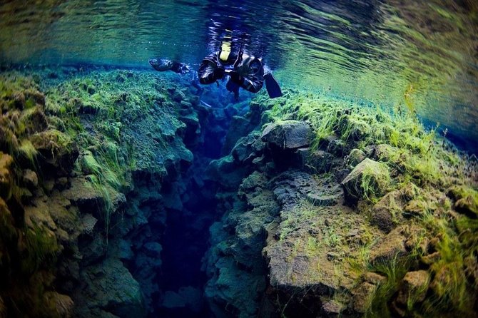 Silfra Fissure Snorkeling From Reykjavík - Free Underwater Photos - Participant Experiences and Reviews