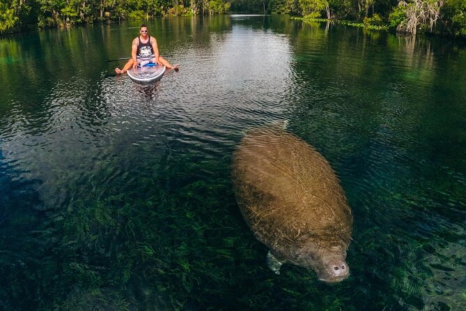 Silver Springs: Clear Kayak Wildlife Adventure - Wildlife Sightings and Highlights