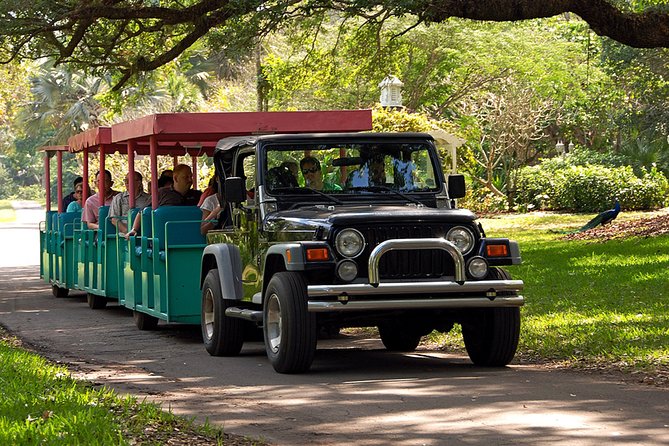Skip the Line: Flamingo Gardens Admission Ticket in Fort Lauderdale - Exploring the Everglades Ecosystems