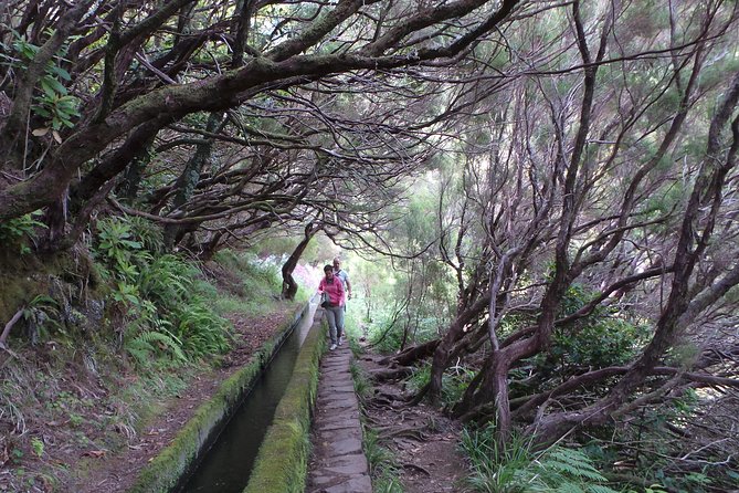 Skywalk 4x4 Experience and Rabacal 25 Fountains Levada Walk - Inclusions and Safety Measures