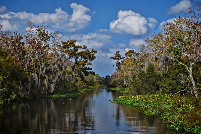 Small-Group Bayou Airboat Ride With Transport From New Orleans - Close Encounters With Local Wildlife