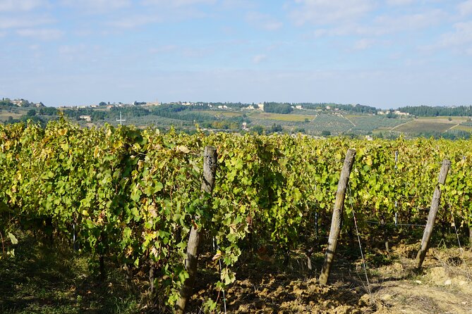 SMALL GROUP Chianti 2 Wineries & Meat Feast @ Dario Cecchini - Why This Tour Is Recommended