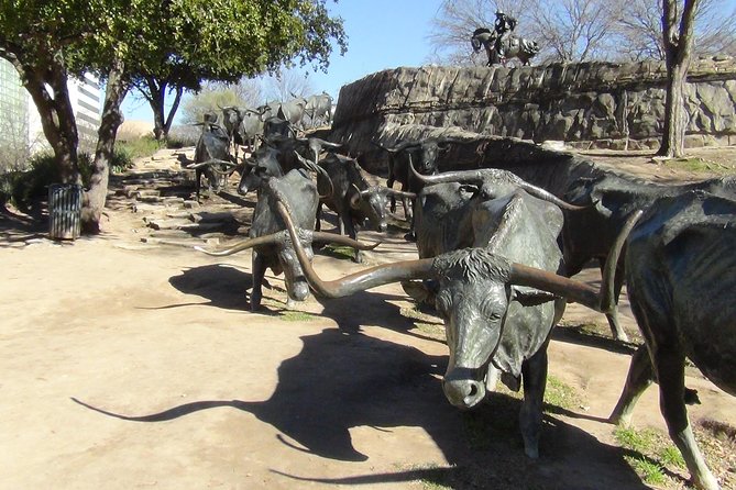 Small-Group Dallas and Fort Worth City Sightseeing Tour - Exploring the Cultural Richness of Dallas